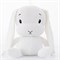 Кролик белый - фото 10839