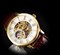 Часы мужские скелетоны Forsining механические white with gold - фото 13710