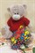 Мишка Тедди в красном свитере - фото 14344