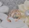 Женское кольцо позолоченное "Чудесное" - фото 14720